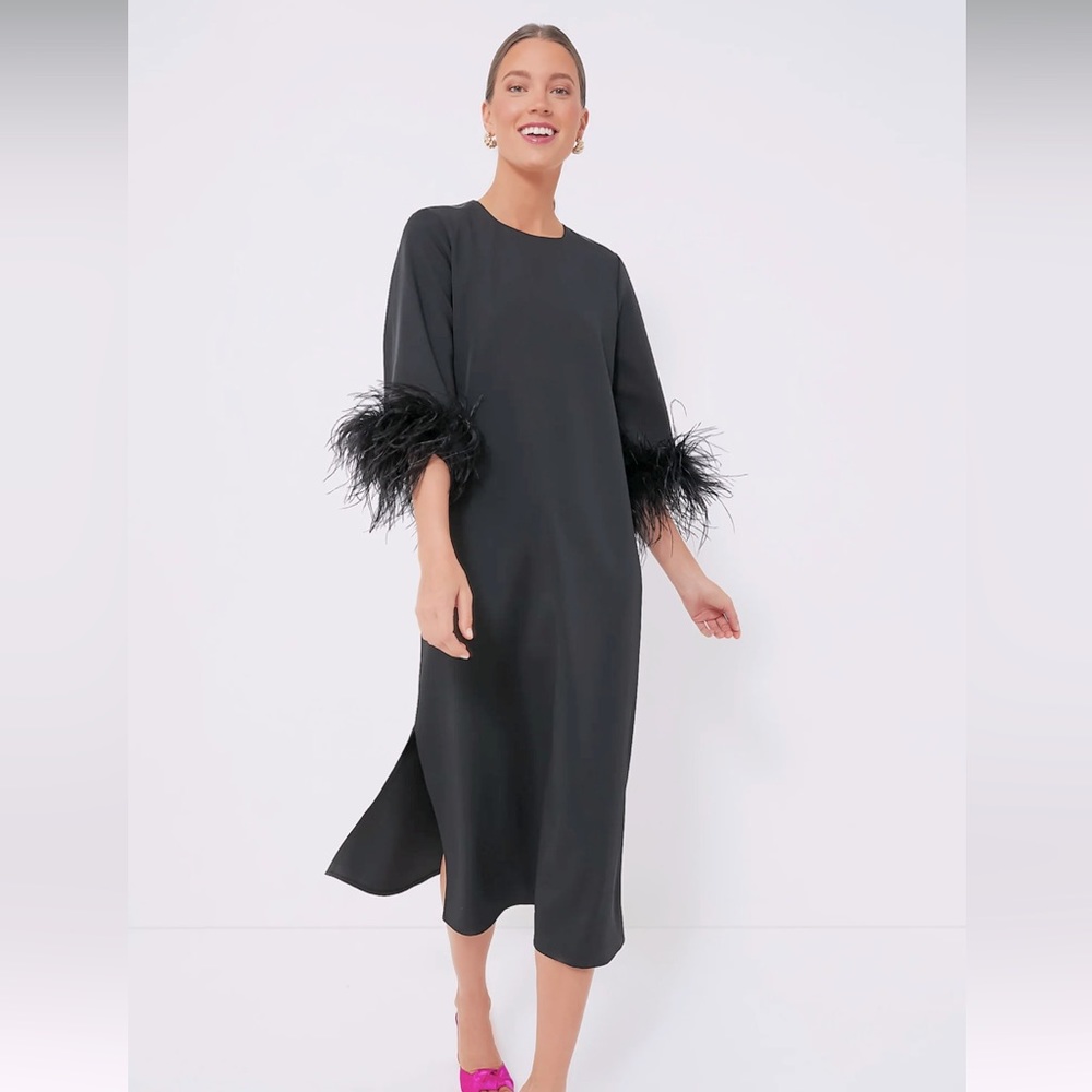 Tuckernuck Black Feather Jamie dress
